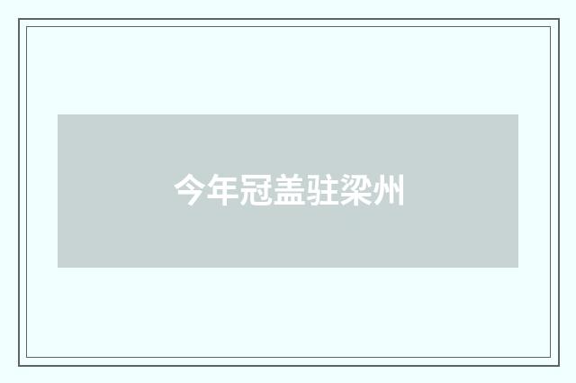 今年冠盖驻梁州