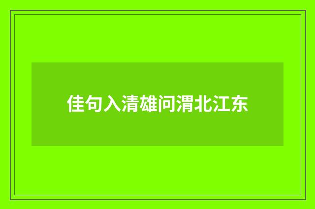佳句入清雄问渭北江东