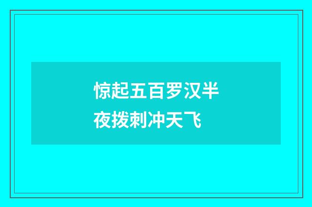 惊起五百罗汉半夜拨刺冲天飞