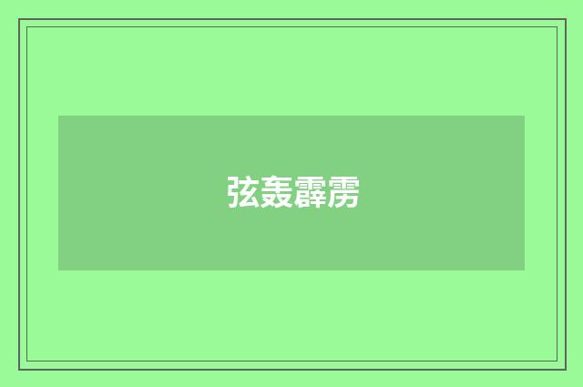 弦轰霹雳