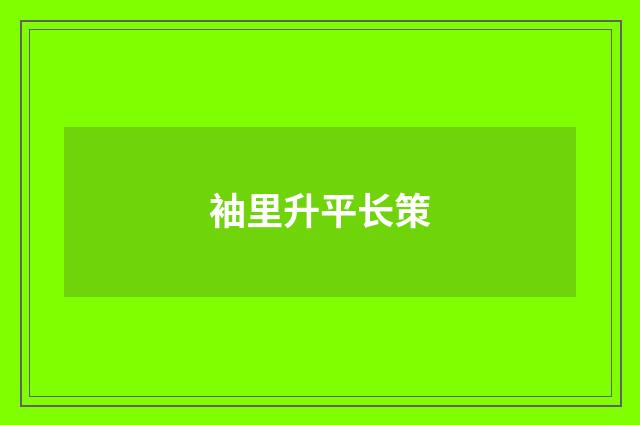 袖里升平长策