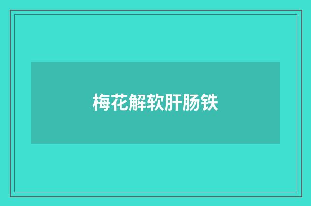 梅花解软肝肠铁