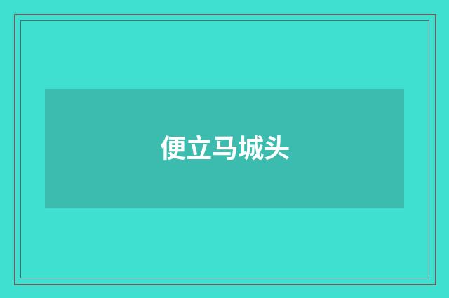 便立马城头