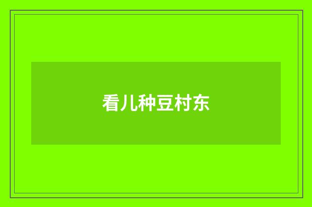 看儿种豆村东