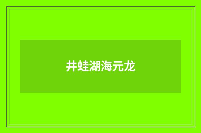 井蛙湖海元龙