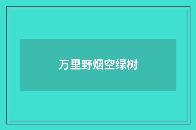 万里野烟空绿树