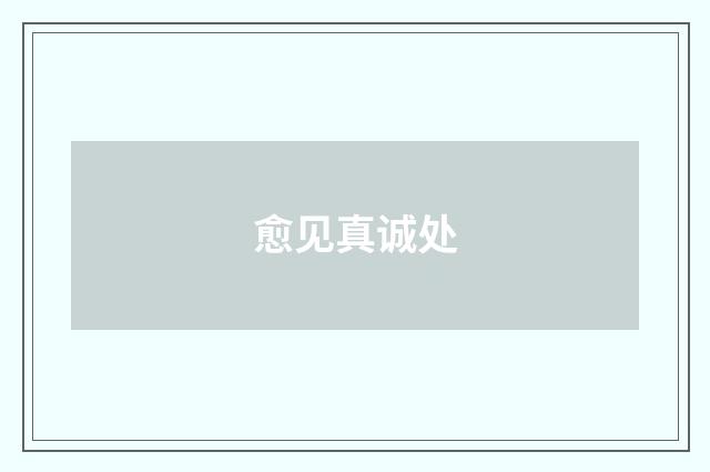 愈见真诚处