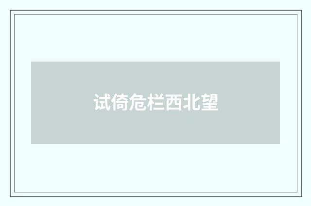 试倚危栏西北望