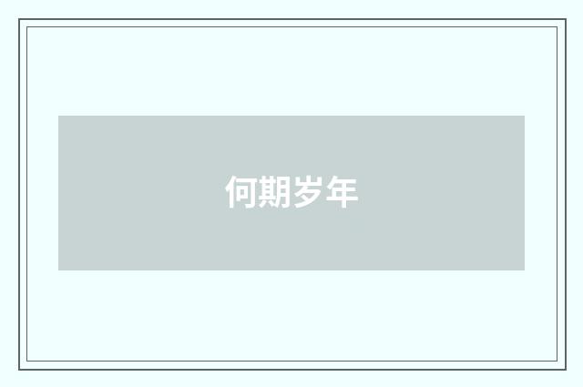 何期岁年