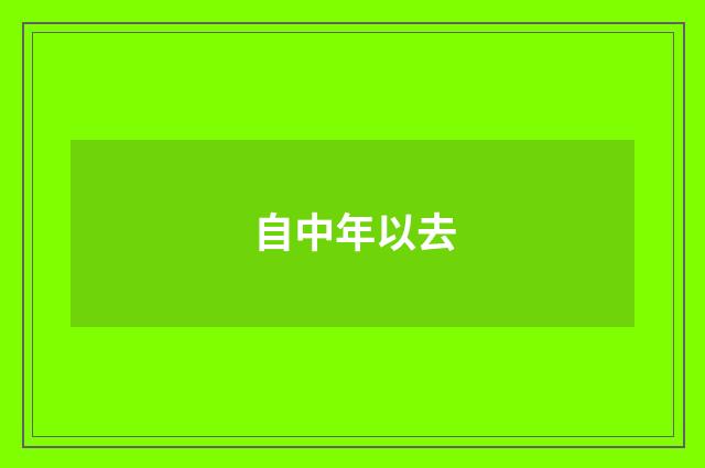自中年以去