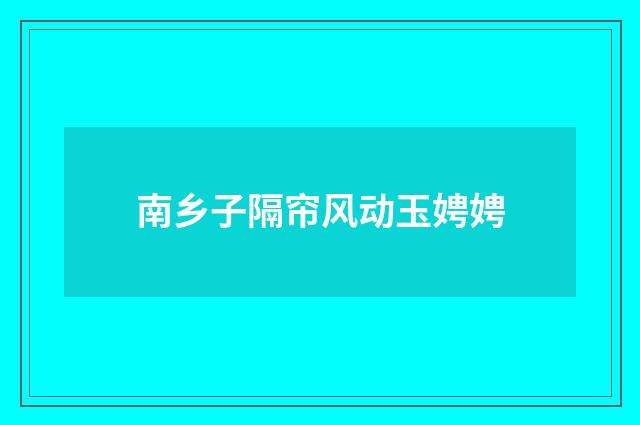 南乡子隔帘风动玉娉娉