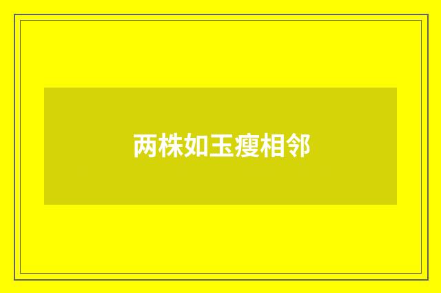 两株如玉瘦相邻