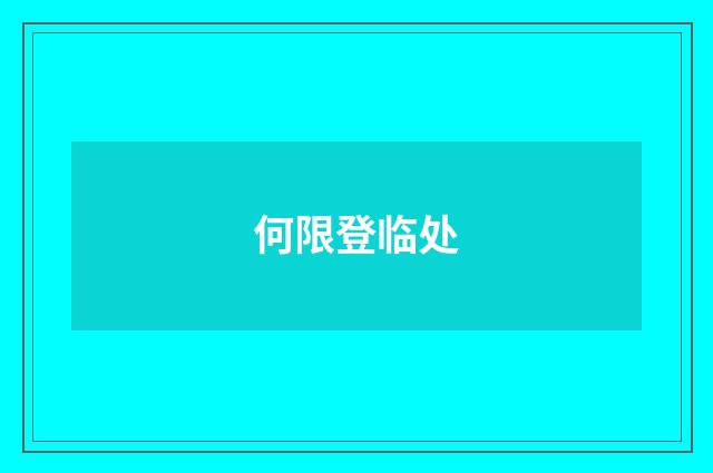 何限登临处