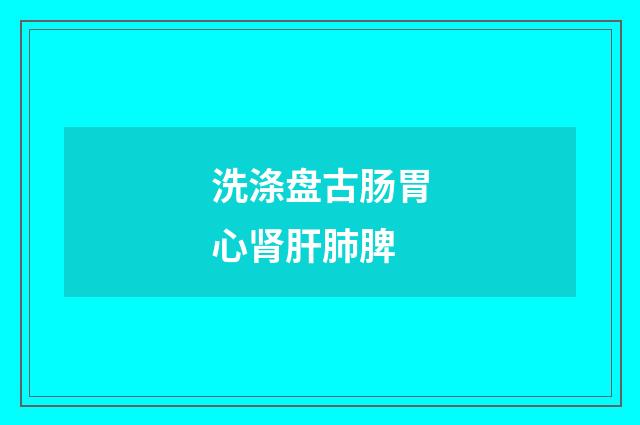 洗涤盘古肠胃心肾肝肺脾