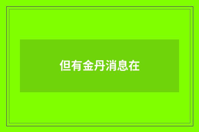 但有金丹消息在
