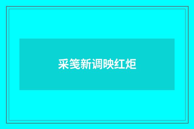 采笺新调映红炬