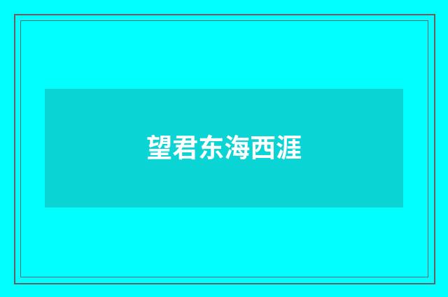 望君东海西涯