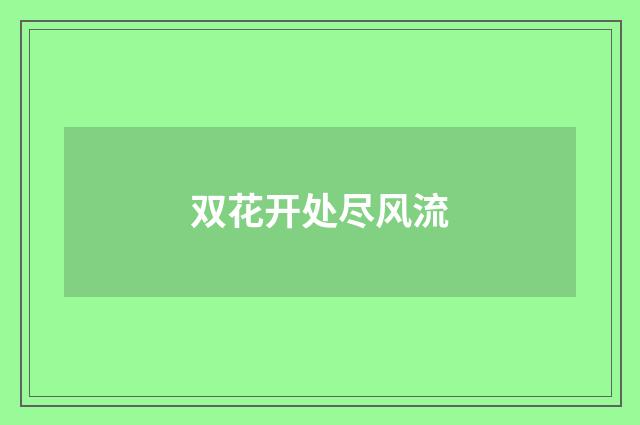 双花开处尽风流