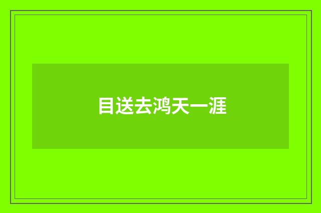 目送去鸿天一涯