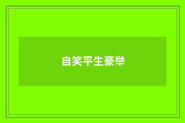 自笑平生豪举