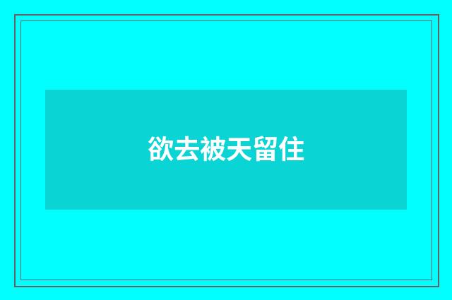 欲去被天留住
