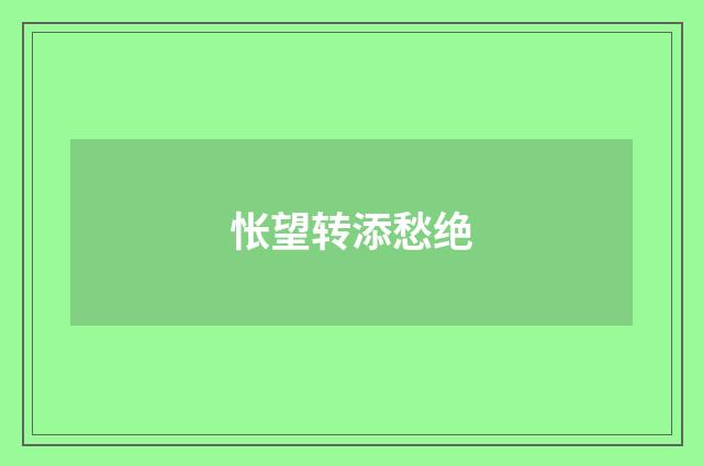 怅望转添愁绝