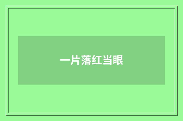一片落红当眼