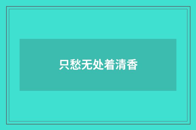 只愁无处着清香