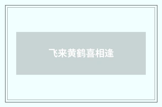 飞来黄鹤喜相逢