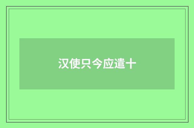 汉使只今应遣十