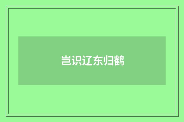 岂识辽东归鹤