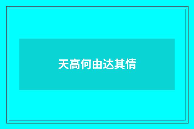天高何由达其情