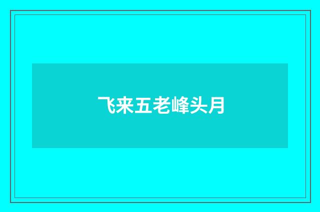 飞来五老峰头月