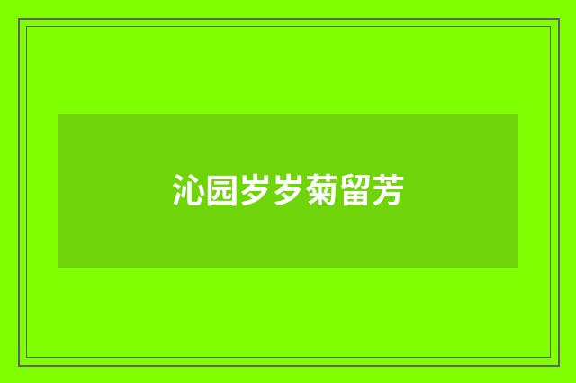 沁园岁岁菊留芳