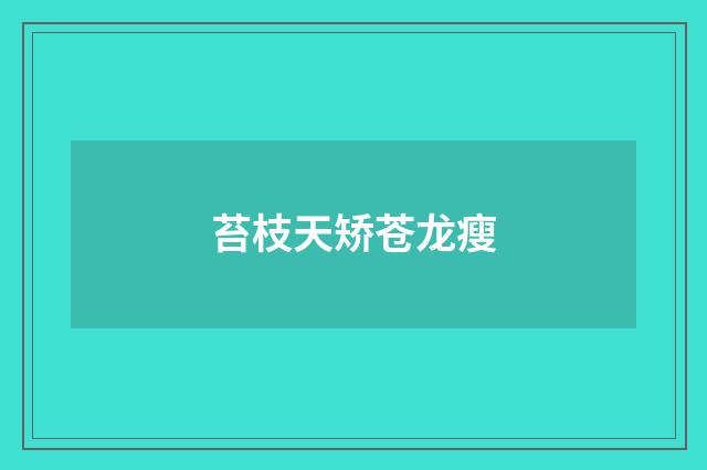 苔枝天矫苍龙瘦