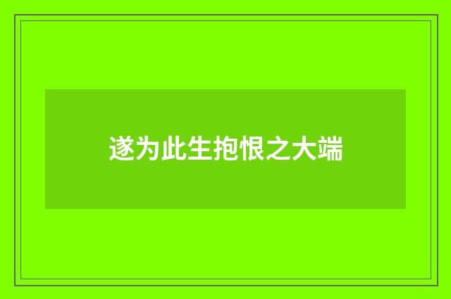 遂为此生抱恨之大端