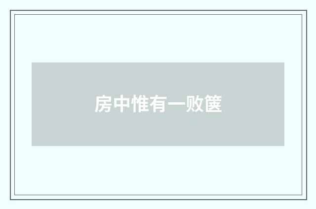 房中惟有一败箧