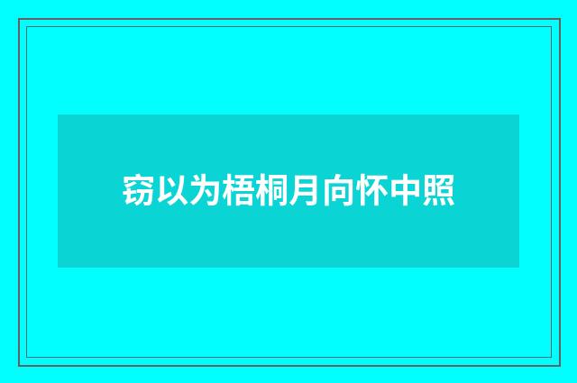 窃以为梧桐月向怀中照