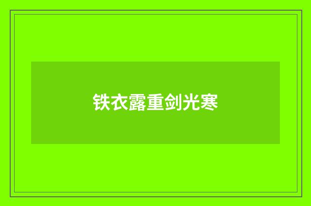 铁衣露重剑光寒