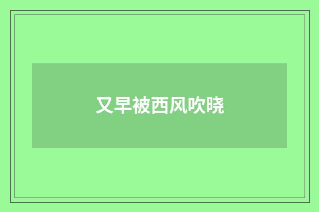 又早被西风吹晓