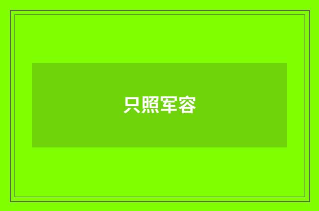 只照军容