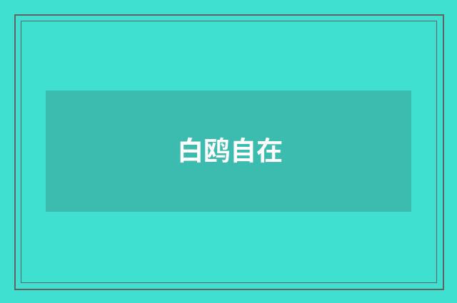 白鸥自在