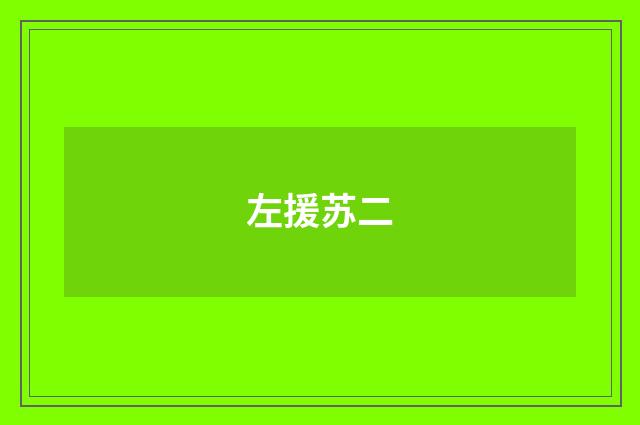 左援苏二