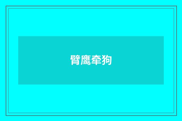臂鹰牵狗