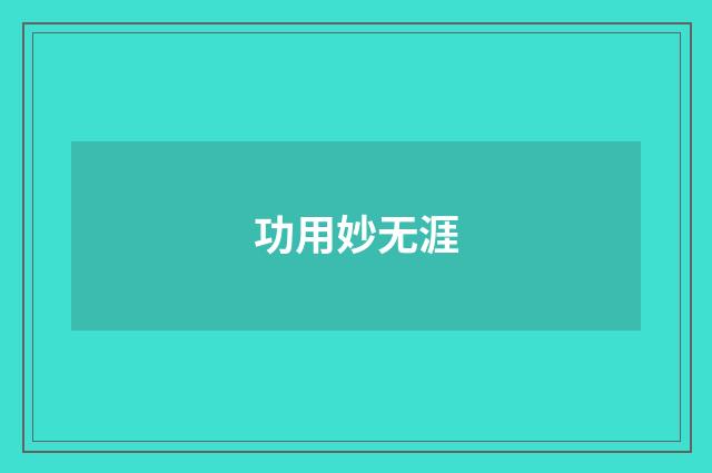 功用妙无涯
