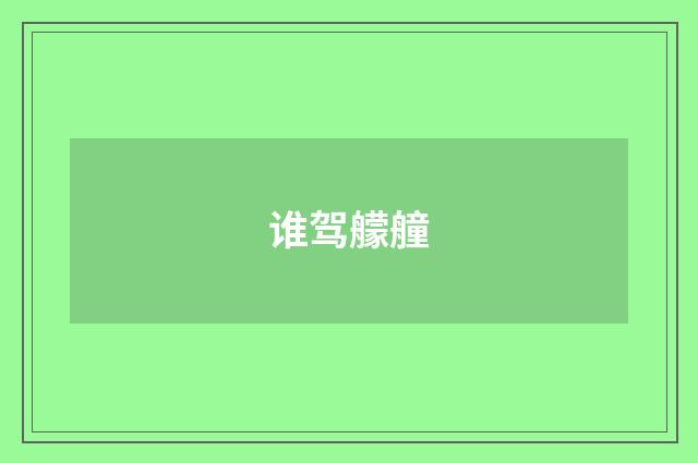 谁驾艨艟