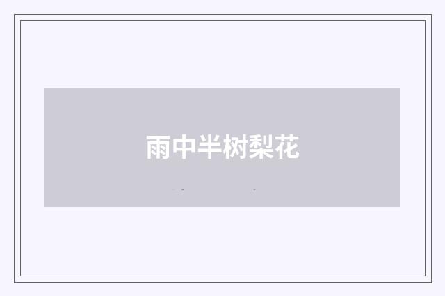 雨中半树梨花