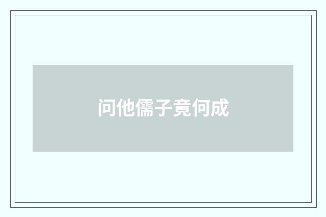 问他儒子竟何成