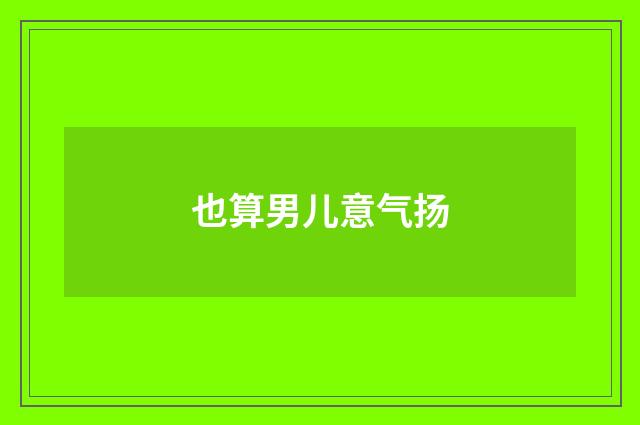 也算男儿意气扬