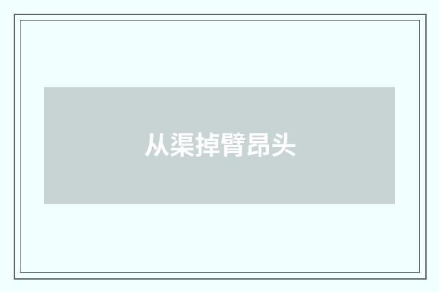 从渠掉臂昂头